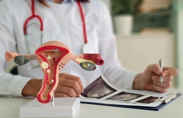 Modelo anatômico do útero e ovários com anomalias, exames de ultrassom e médico com estetoscópio