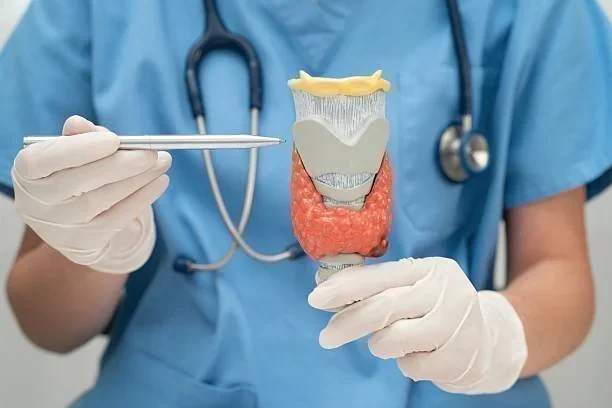 Profissional de saúde com luvas e estetoscópio, segurando modelo da tireoide e apontando com caneta