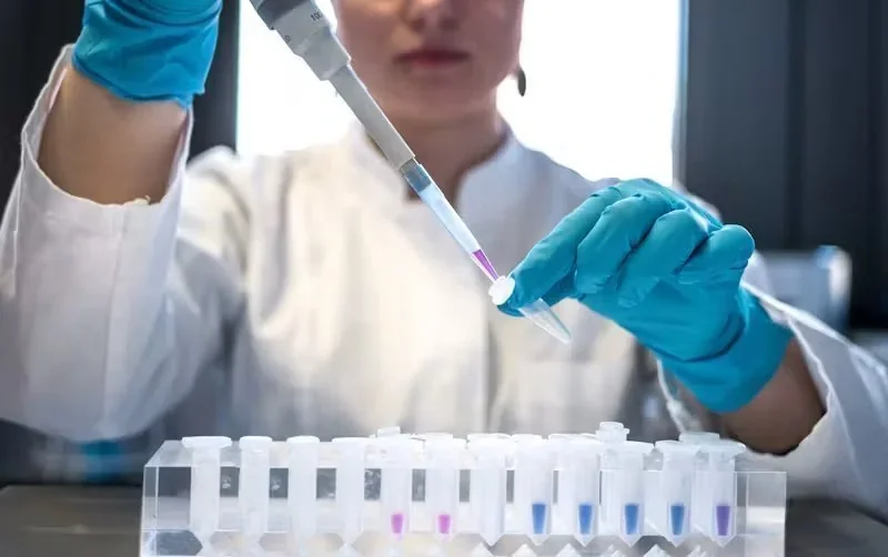 Pessoa com luvas azuis e jaleco branco usando pipeta para transferir líquido roxo para tubo de ensaio. Tubos com líquidos co…