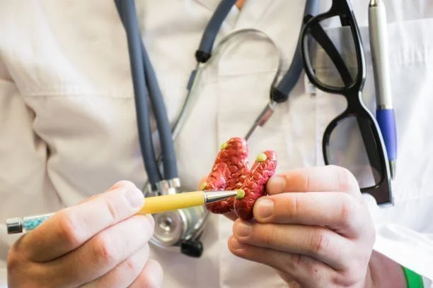 Médico com estetoscópio e óculos, apontando com caneta para um modelo anatômico da tireoide